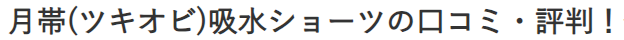 月帯(ツキオビ)吸水ショーツの口コミ・評判！使った人のリアルな評価と使用体験